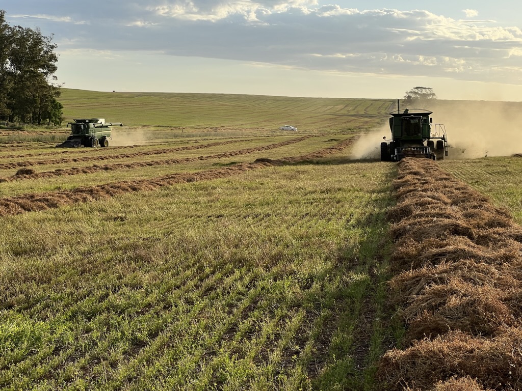 2DC7A896-92BE-41A8-A915-60730E5869B8_1_105_c