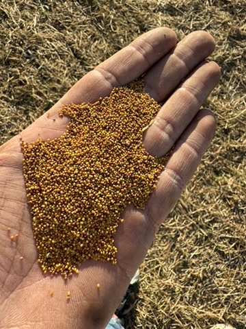 B3B14F13-9FE8-47C1-AA91-124D5098F718_4_5005_c