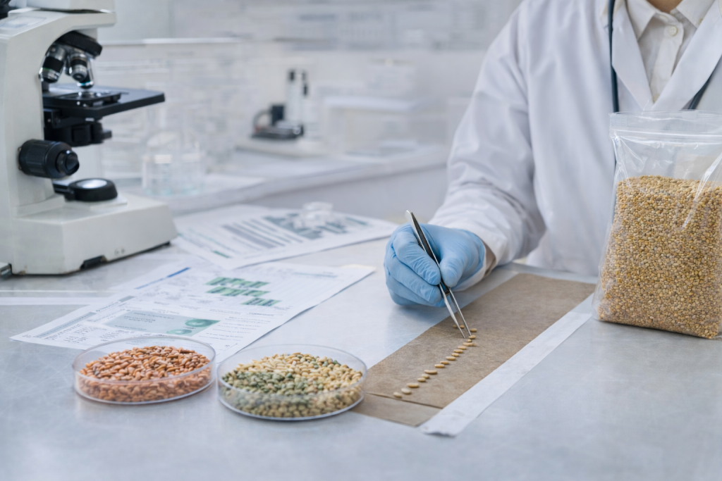 LABORATORIO TECNOLOGICO PF